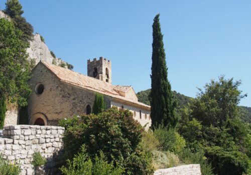 Mont Ventoux: Ein Weinbaujuwel inmitten der Provence