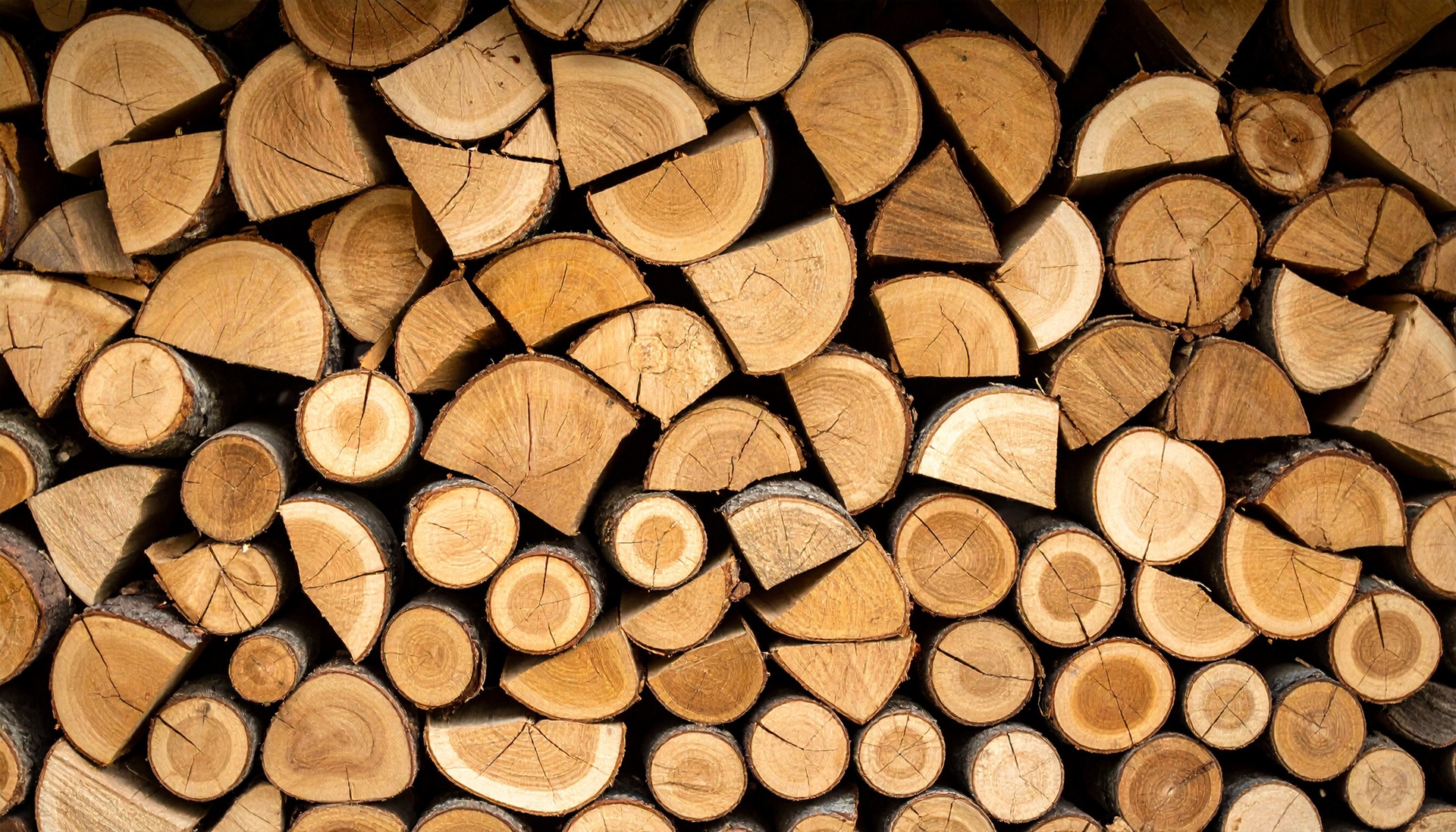 Gestapeltes Holz für Kamin | Brennholz kaufen Augsburg